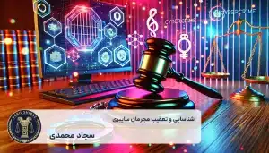 نحوه شناسایی و تعقیب مجرمان سایبری