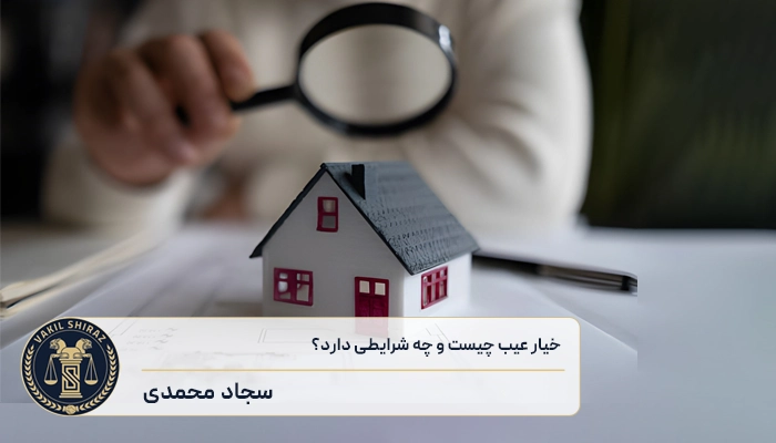 خیار عیب چیست