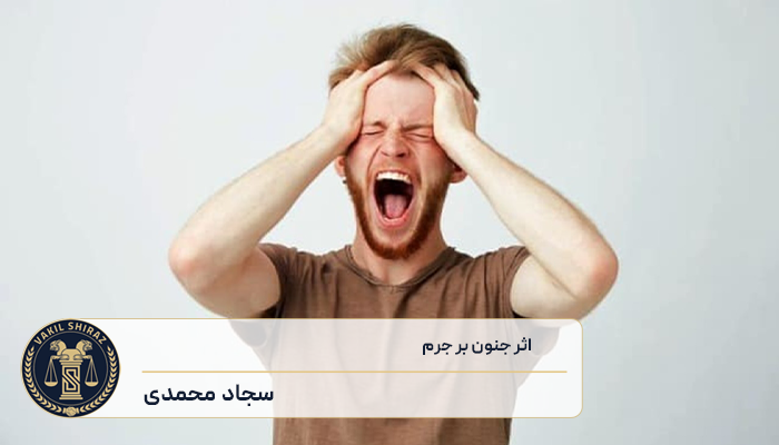 اثر جنون بر جرم